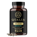Caffeine-Free Brain Support Supplement for Focus, Memory & Cognitive Performance | Advanced Nootropic Formula for Mental Clarity & Long-Term Brain Health