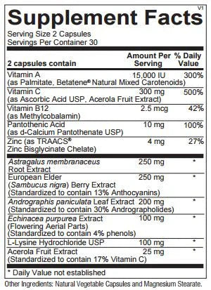 Immune Support Supplement – Advanced Formula for Daily Wellness | 60 Capsules