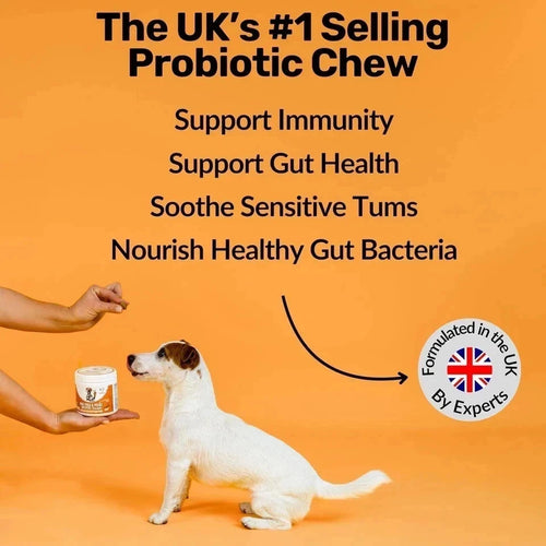 2PCS NutriPaw Pre Pro&Postbiotic Digestive Treats Gut Health Sensitive For Dogs